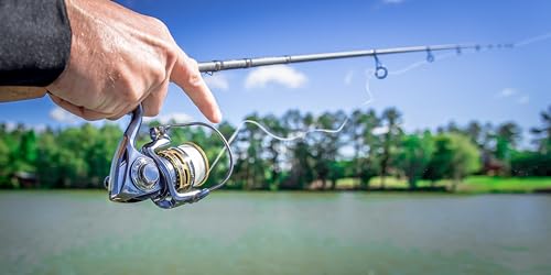 Tackle Box 4-Pack, Clear and Black, Locking System C483