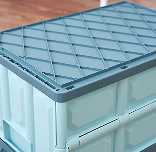 Collapsible Storage Bins with Lids 30L, Stackable Plastic Crates 2-Pack E2742