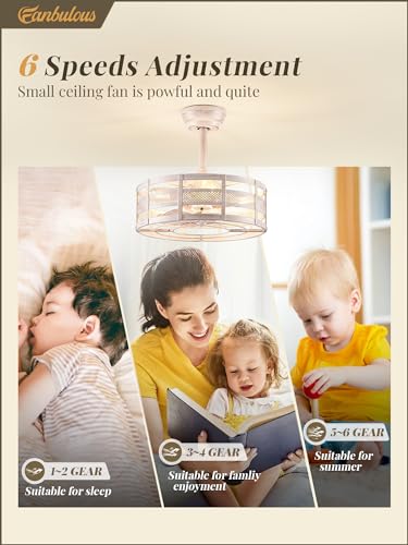 Caged Ceiling Fan with Light and Remote, Bladeless, 6 Speeds, White and Gold L189918