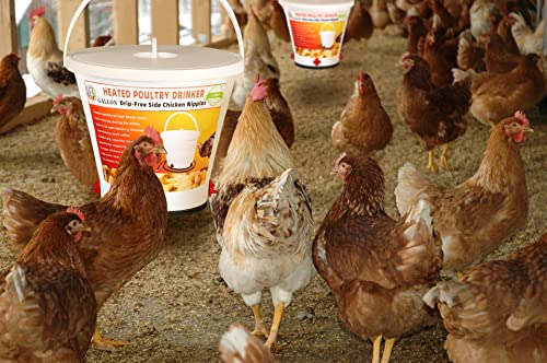 Heated Chicken Waterer 4 Gallon Hanging Poultry Drinker P240227