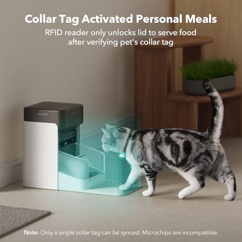 Automatic Cat Feeder with App Control and RFID Tag N185