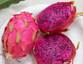 Lulan 20 PURPLE DRAGON FRUIT (Pitaya / Pitahaya / Strawberry Pear) Hylocereus Undatus Cactus Seeds