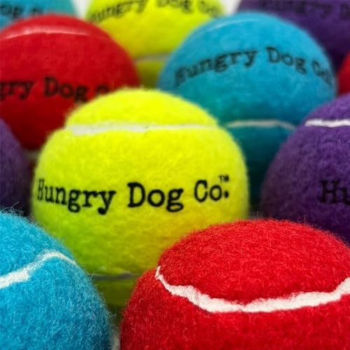 Dog Tennis Balls 2.5" for Exercise and Training with Mesh Bag C5979
