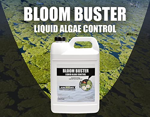 Pond Algae Control - 64oz Algaecide for Fountains & Outdoor Fish Ponds N4077