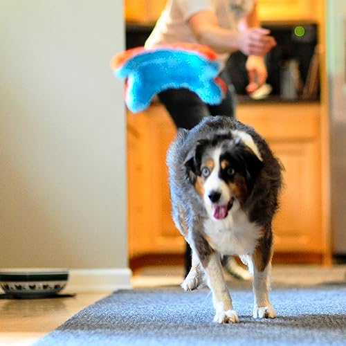 Indoor Fetch Tumbler Dog Toy, 6.5 Inch K83440