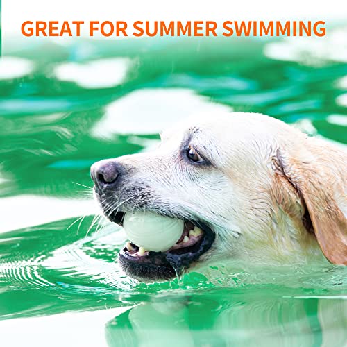 Interactive Squeaky Dog Ball, Glow in Dark, Floating Toy for Dogs R133373