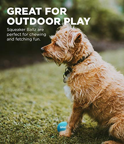 Dog Tennis Ball Launcher N380