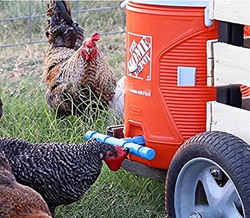 Chicken Drinking Cup for Poultry Watering (36 Pack) A301114