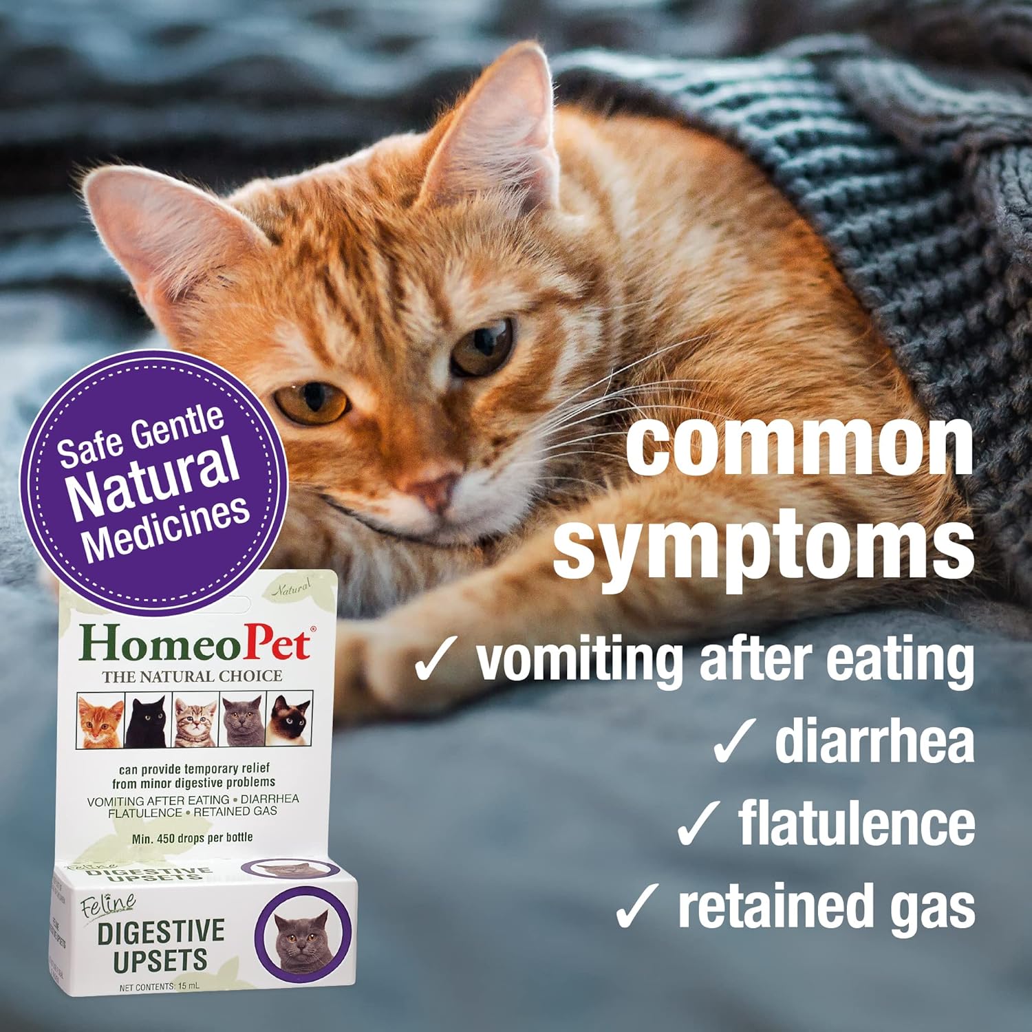 Feline Digestive Support for Cats and Kittens, 15 Milliliters N799107