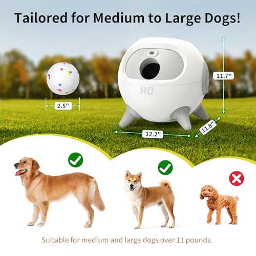 Dog Ball Launcher with 4 Balls for Medium & Large Dogs A788343