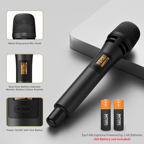 Wireless Microphone System with Receiver for Karaoke and Singing Y613740