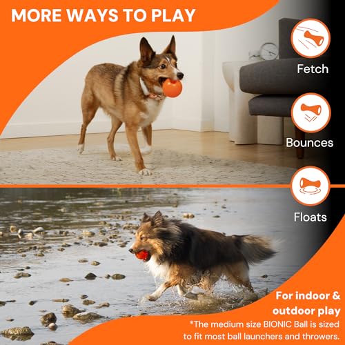 Ball Dog Toy, Small - Interactive Chew Toy for Dogs up to 20 lbs K221861
