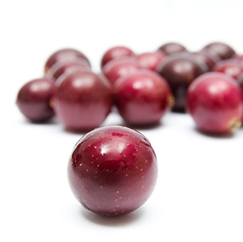 Blanc du Bois Grape Starter Plant O720